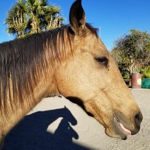 Meet your Posher, Chad